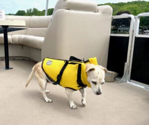 Bella in her lifejacket