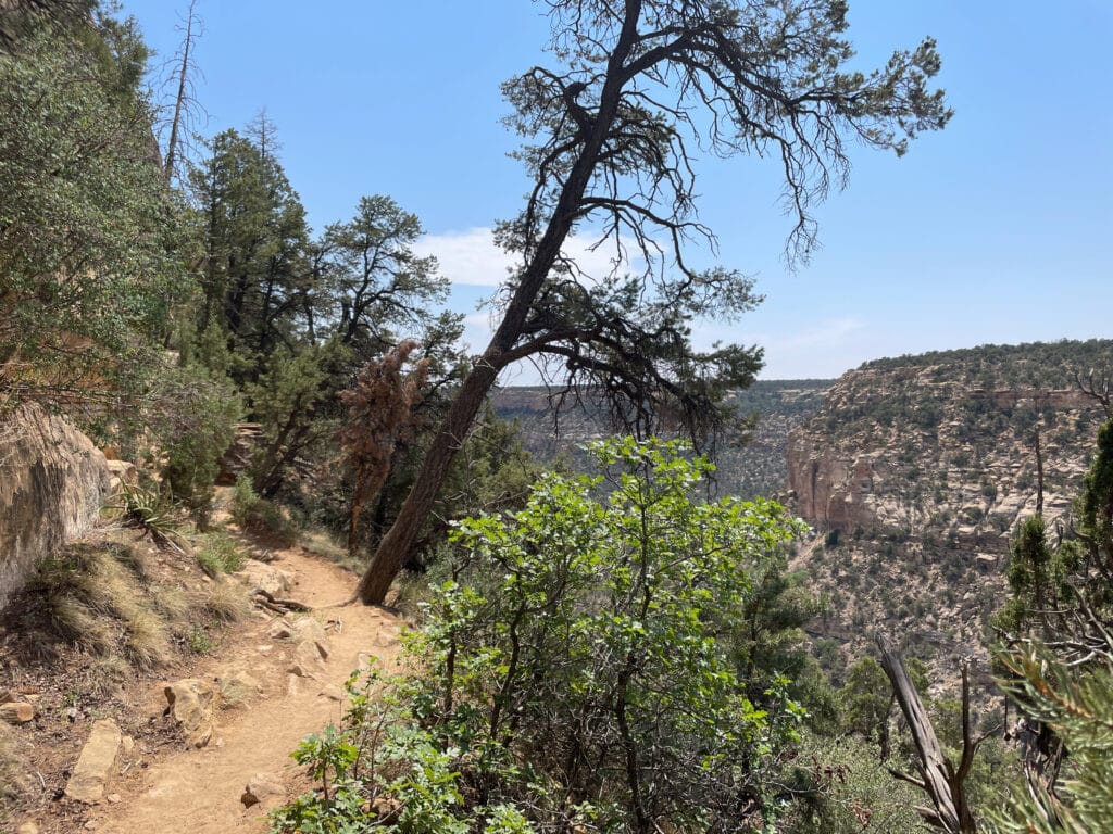 Petroglyph Trail, Mesa Verde National Park